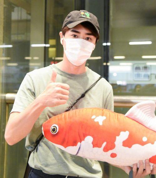 娱乐吃瓜酱养鱼,揭秘网红养鱼背后的趣味生活