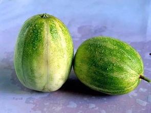 吃瓜娱乐轻量版,跟随吃瓜娱乐轻量版畅游娱乐圈