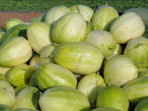 吃瓜娱乐轻量版,跟随吃瓜娱乐轻量版畅游娱乐圈