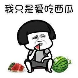 娱乐吃瓜集,吃瓜群众必备的娱乐资讯大盘点