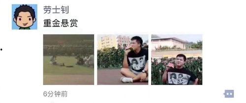 吃瓜娱乐图片搞笑版,搞笑版吃瓜娱乐图集大赏