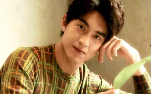 娱乐吃瓜小将王惠小说,娱乐圈的吃瓜小将，揭秘明星背后的故事