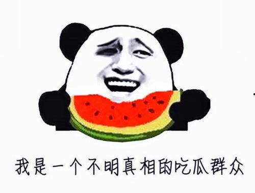 娱乐吃瓜君王鸥是谁啊,王鸥的星光之路