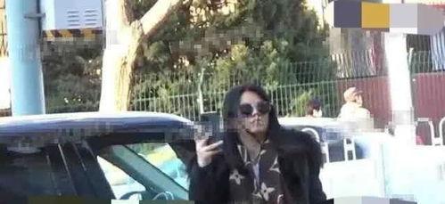 吃瓜娱乐圈摩托是谁,娱乐圈中的神秘人物之谜