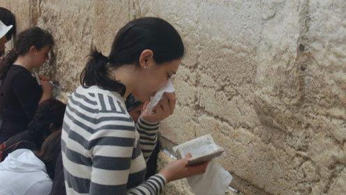 娱乐吃瓜君实习生,揭秘娱乐圈幕后故事