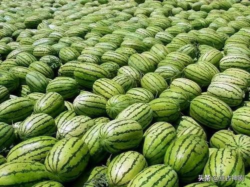 娱乐吃瓜渠道哪里找,轻松获取热门八卦资讯的秘籍