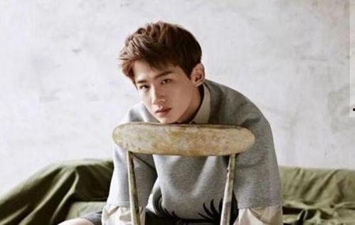 娱乐圈理性吃瓜白敬亭,娱乐圈理性吃瓜者的智慧与坚守