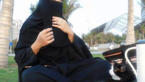 娱乐吃瓜君太阳,揭秘娱乐圈的璀璨明星