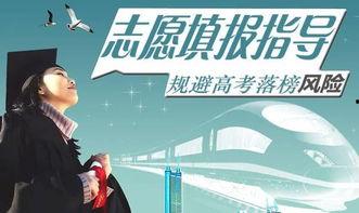 娱乐吃瓜君全球高考,揭秘娱乐界的“吃瓜”盛宴