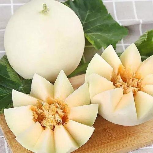 娱乐吃瓜酱小冻梨,揭秘娱乐圈那些不为人知的幕后故事