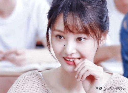 穿越娱乐圈吃瓜爽文,吃瓜成瘾，爽文人生