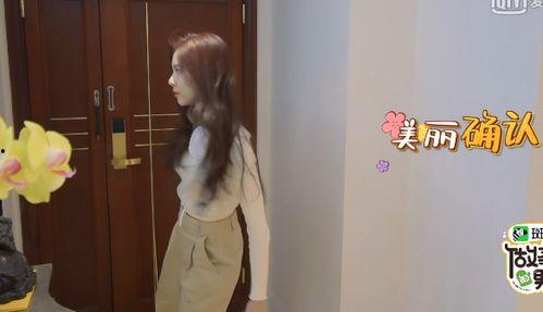 娱乐吃瓜宋妍霏,揭秘明星背后的故事