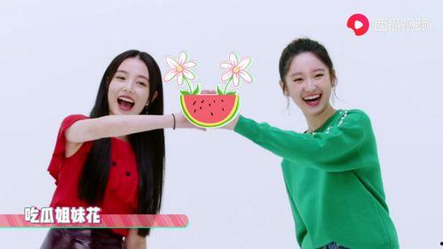 娱乐姐妹吃瓜视频,揭秘吃瓜视频背后的精彩故事