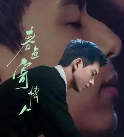 娱乐吃瓜 汪小菲小说,汪小菲的娱乐吃瓜小说