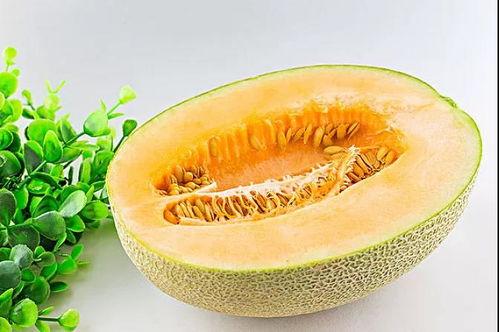 娱乐吃瓜养生,吃瓜养生两不误