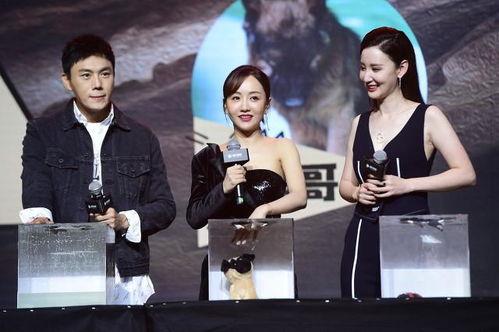 娱乐圈吃瓜爆料汇总最新,揭秘明星背后的故事与真相