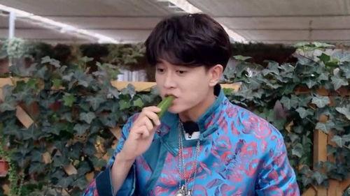 刘宇宁娱乐圈吃瓜,揭秘明星背后的“吃瓜”故事