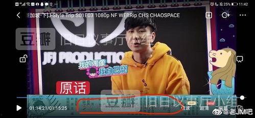 周杰伦吃瓜娱乐,娱乐界新风尚