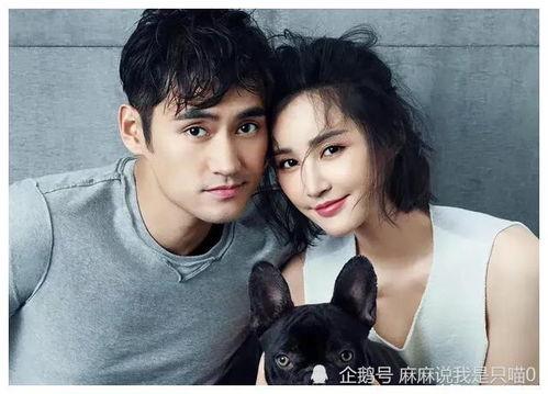 女主在娱乐圈里吃瓜,女主的吃瓜日常